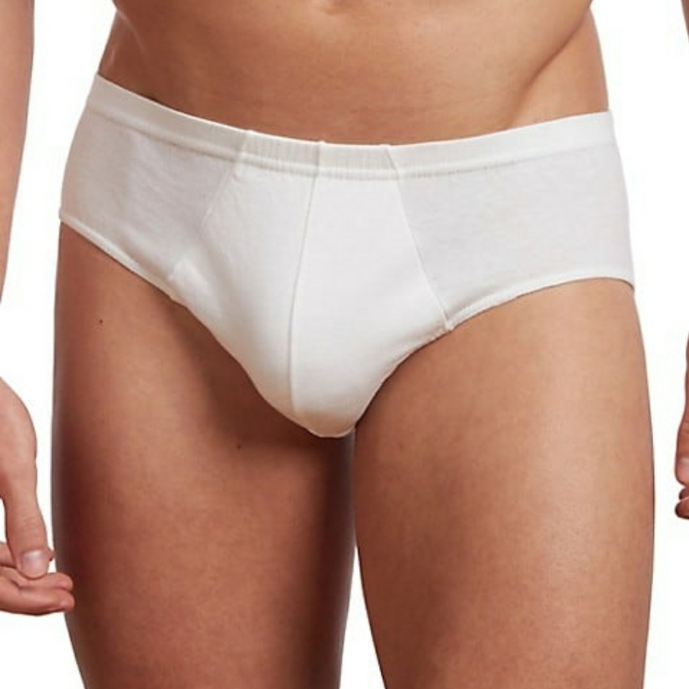 Stanfield's Briefs - S